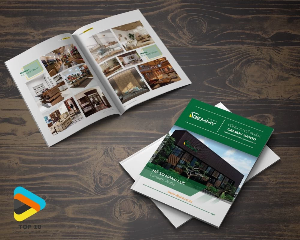 Mẫu catalogue hồ sơ năng lực công ty Gemmy Wood