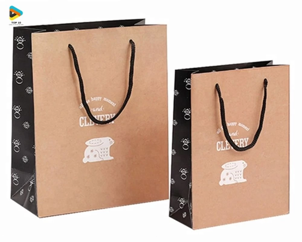 Túi giấy kraft dây đen