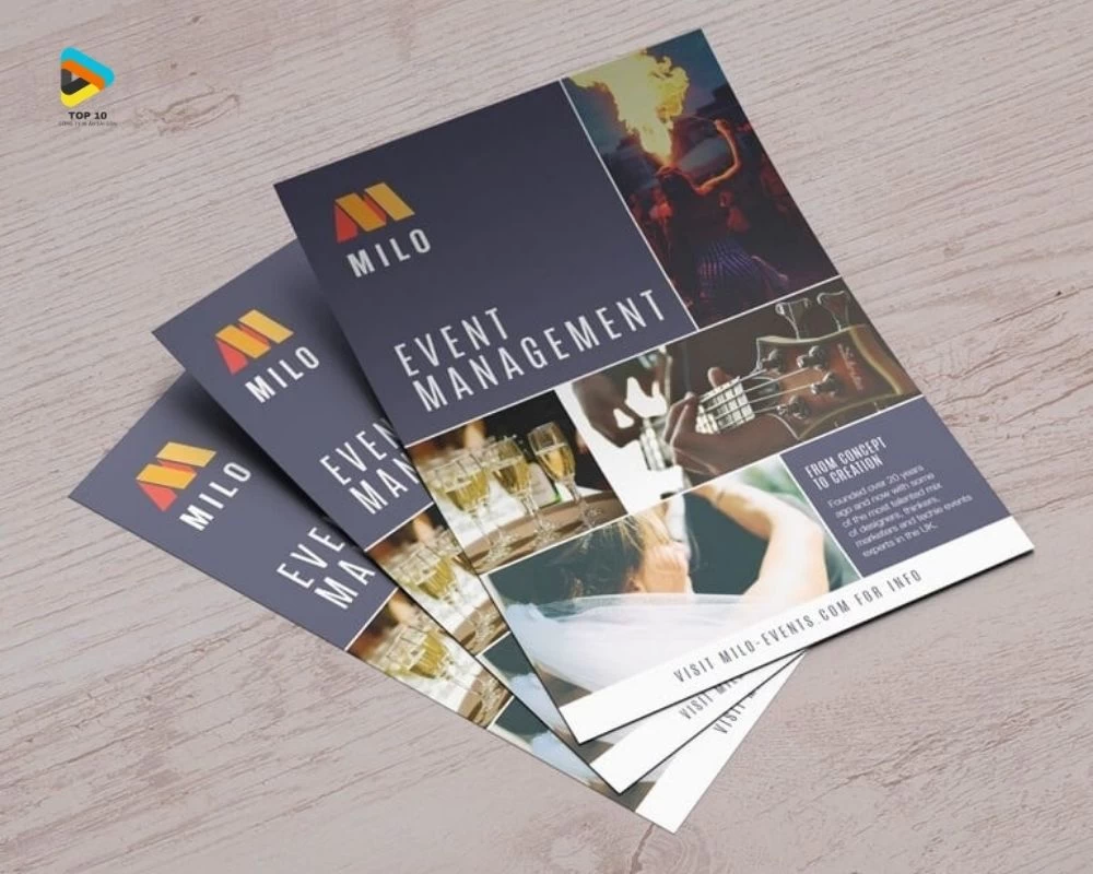 Catalogue tại Xưởng In Nam Việt ADV