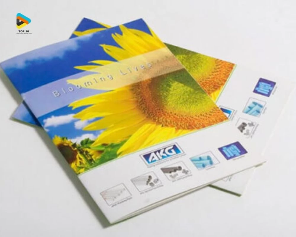 In catalogue tại In Cánh Cam