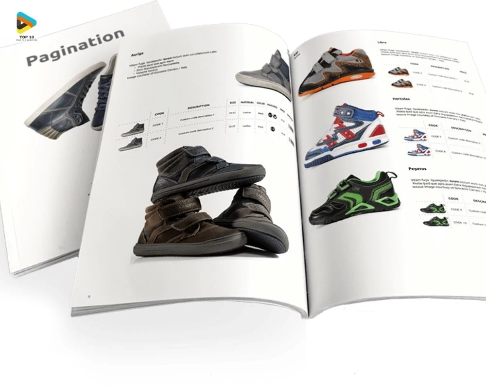 Mẫu catalogue giày thể thao đủ màu