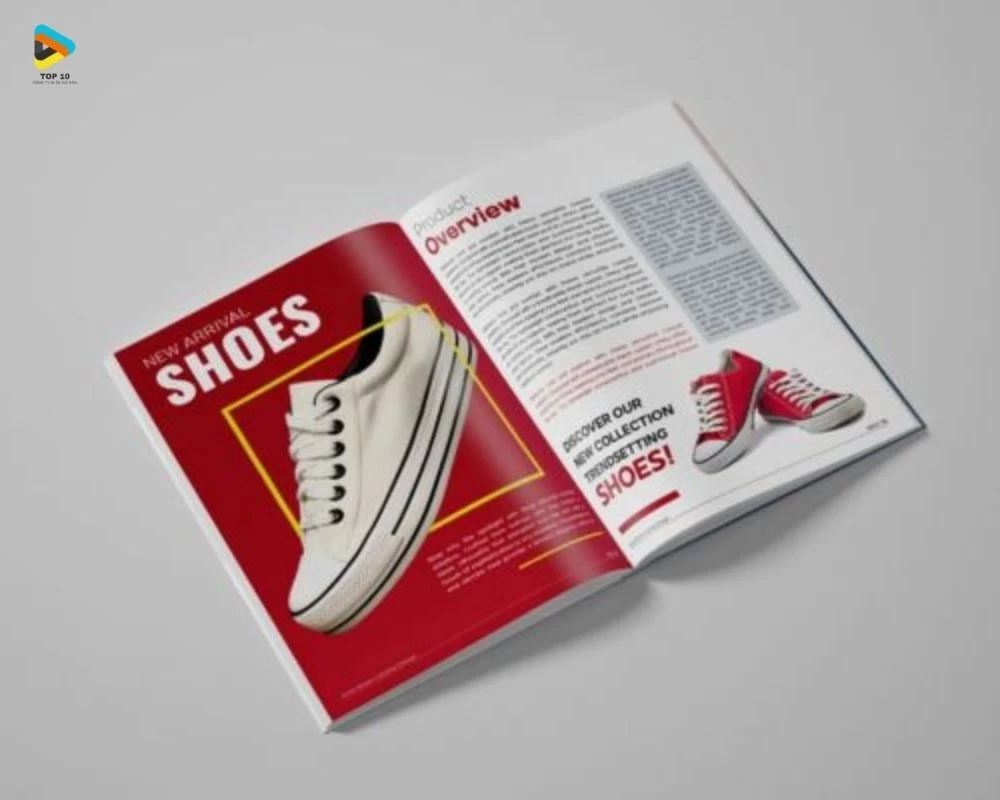 Mẫu catalogue giày kích thước A4