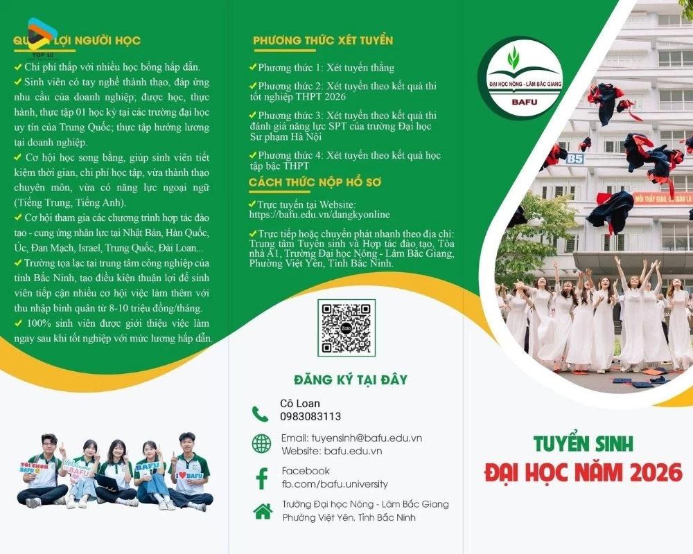 Mẫu brochure tuyển sinh cho trường THPT có gam màu xanh lá cây nổi bật