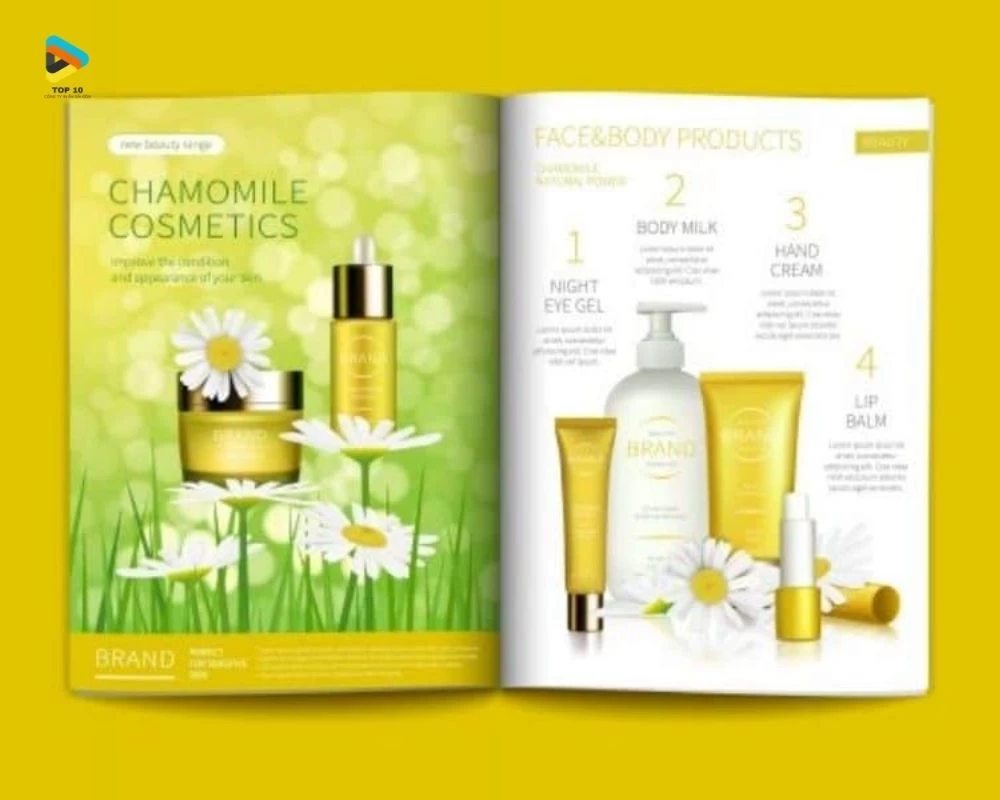 Cuốn catalogue mỹ phẩm có màu sắc nổi bật