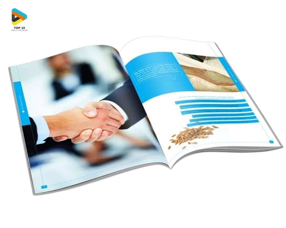 Mẫu catalogue công ty