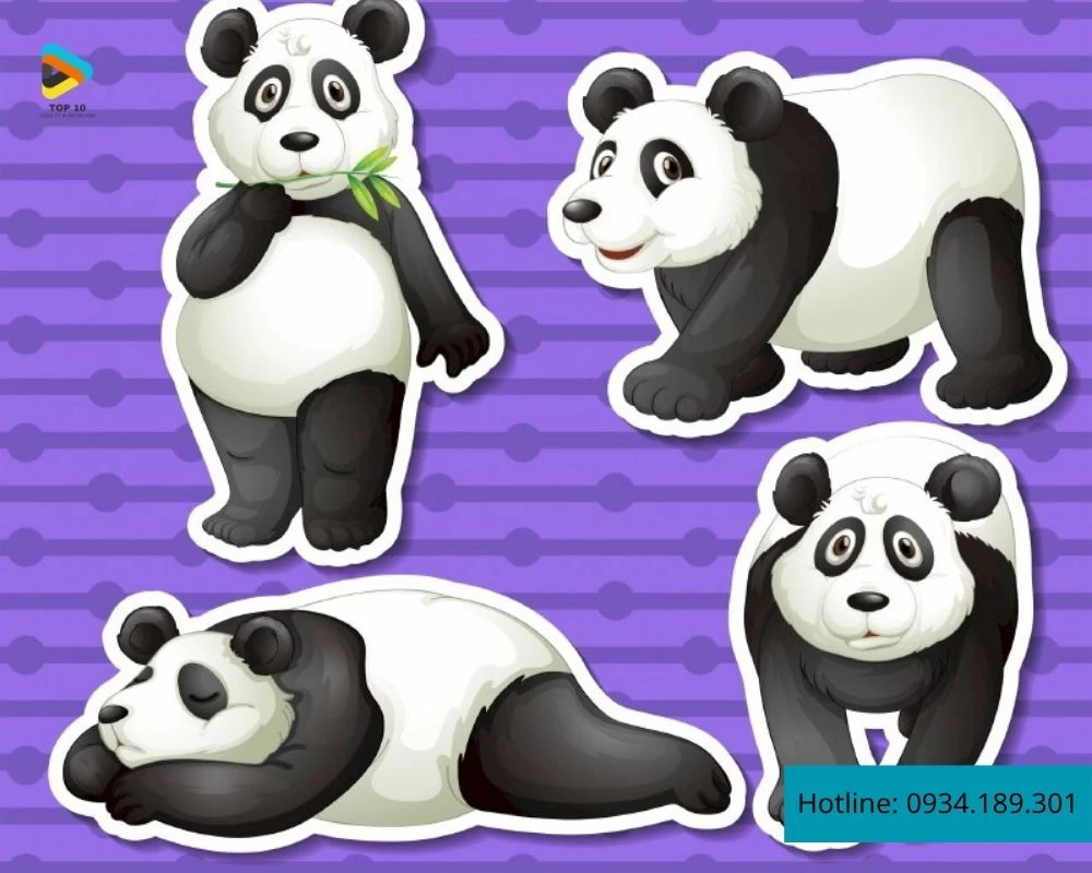 Nhãn dán chú gấu trúc lớn