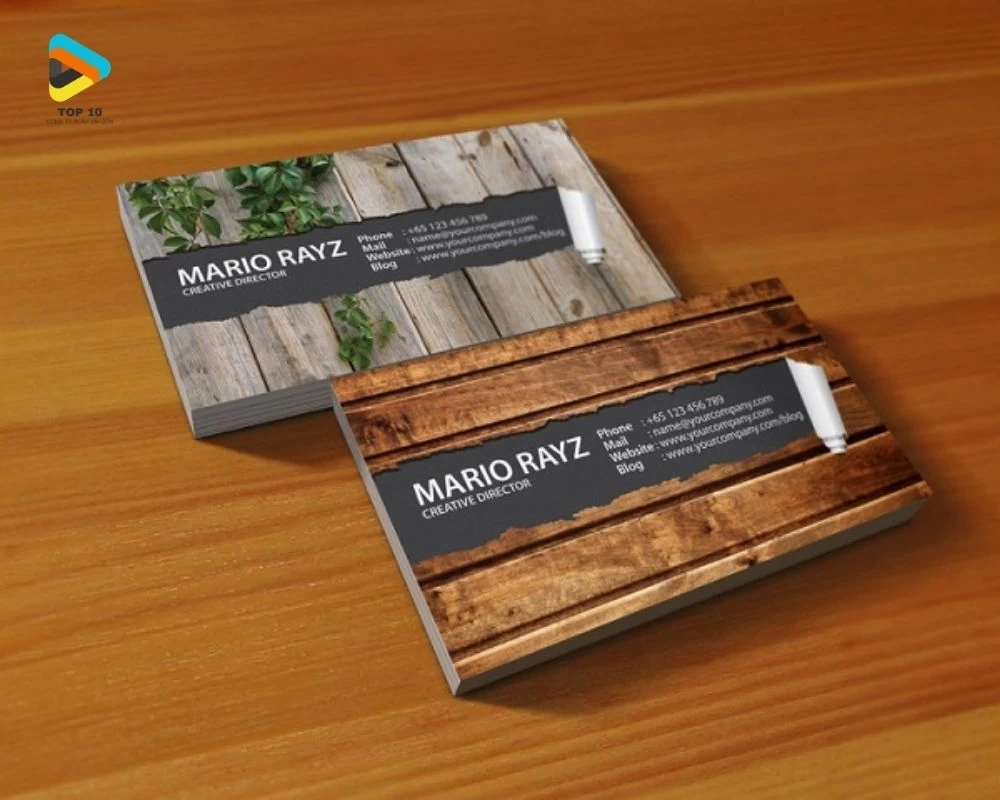 Danh thiếp công ty Mario Rayz