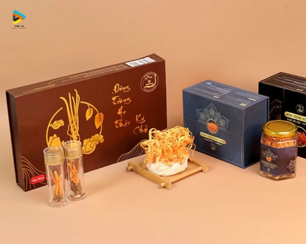 Hộp đựng đông trùng hạ thảo sang trọng