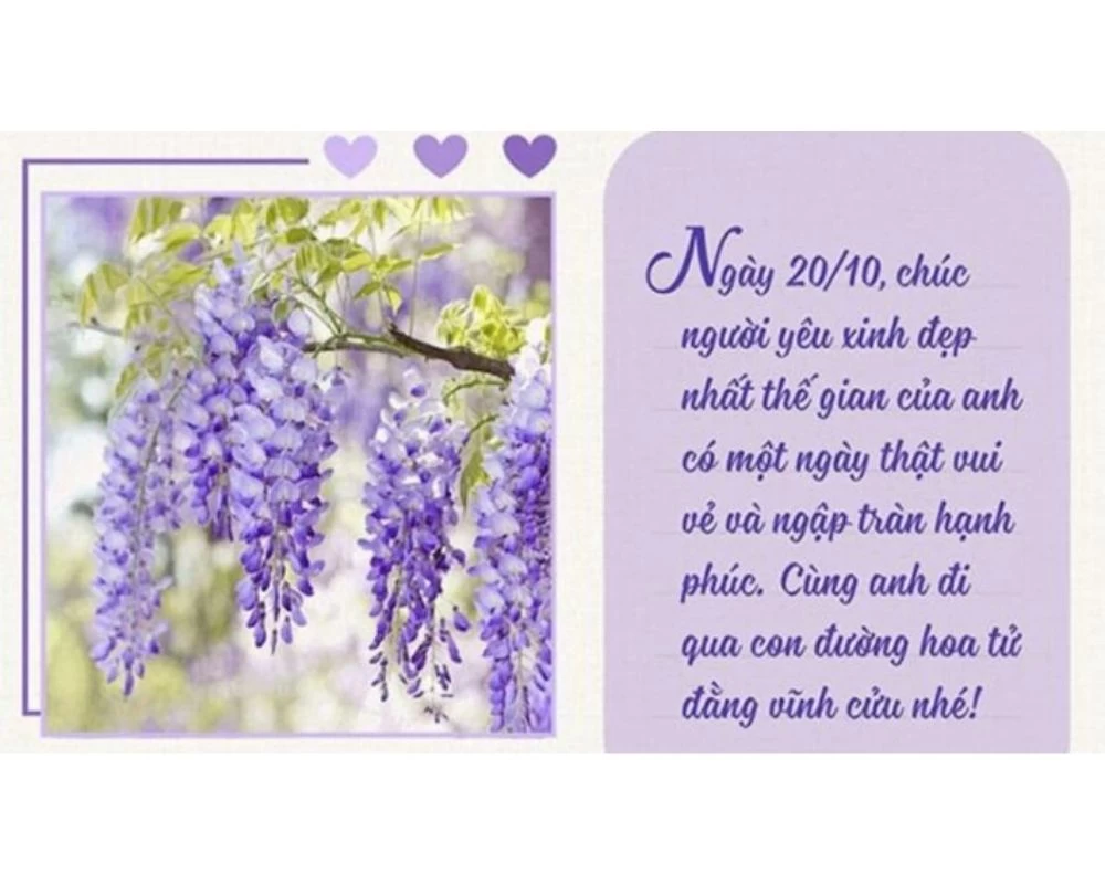 Mẫu thiệp chúc mừng 20_10 màu tím nổi bật dành tặng vợ