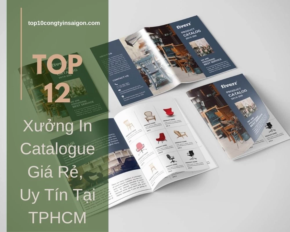 Top 12 Xưởng In Catalogue Giá Rẻ, Uy Tín Tại TPHCM 2026