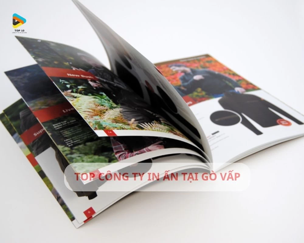 Công Ty In Ấn Tại Gò Vấp